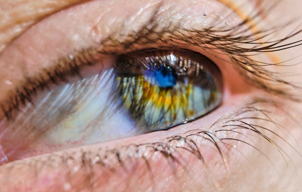 theme-3-split-content-1